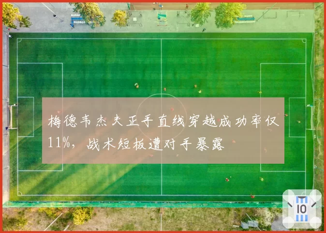 梅德韦杰夫正手直线穿越成功率仅11%，战术短板遭对手暴露