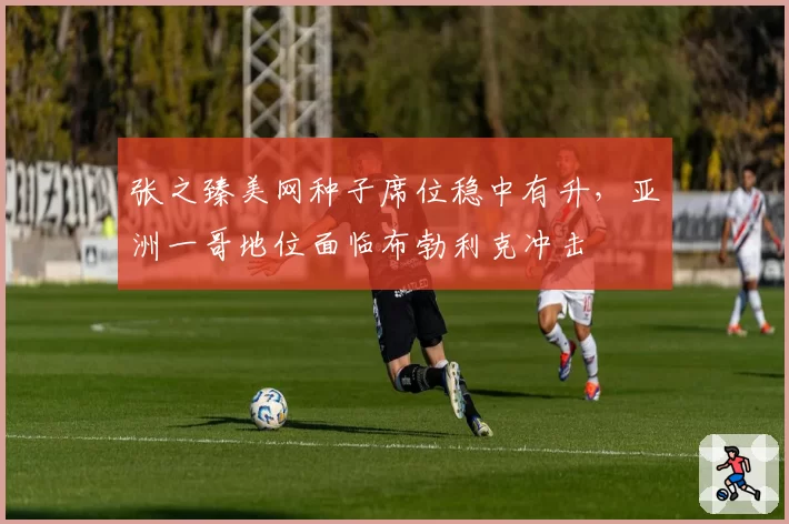 张之臻美网种子席位稳中有升，亚洲一哥地位面临布勃利克冲击