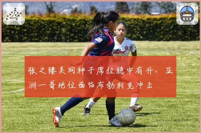 张之臻美网种子席位稳中有升，亚洲一哥地位面临布勃利克冲击