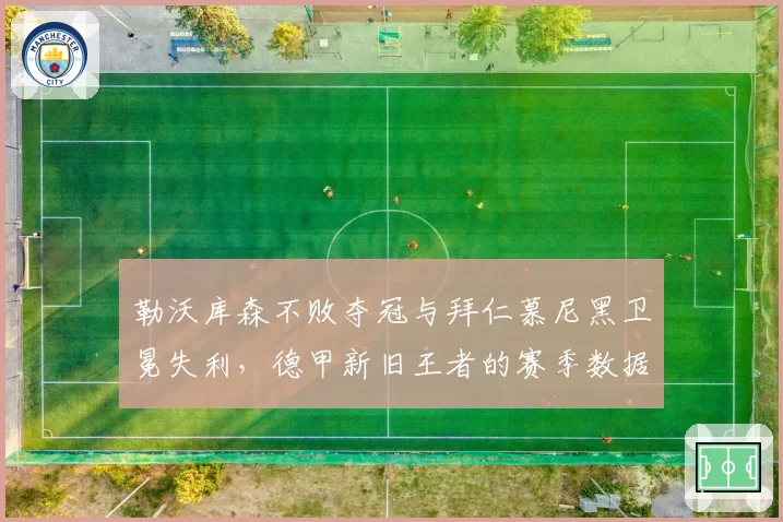 勒沃库森不败夺冠与拜仁慕尼黑卫冕失利，德甲新旧王者的赛季数据全景