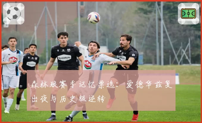 森林狼赛季记忆票选：爱德华兹复出夜与历史级逆转