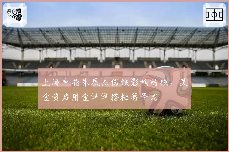 上海申花朱辰杰伤缺影响防线，吴金贵启用金洋洋搭档蒋圣龙